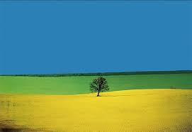 Fotografo Migliore - Franco Fontana